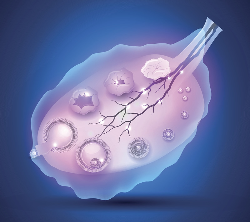 哈尔滨2026年试管婴儿医院实力口碑榜：高龄（55岁）试管、费用及本地优质生殖中心全解析